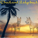 thairidgeback.png